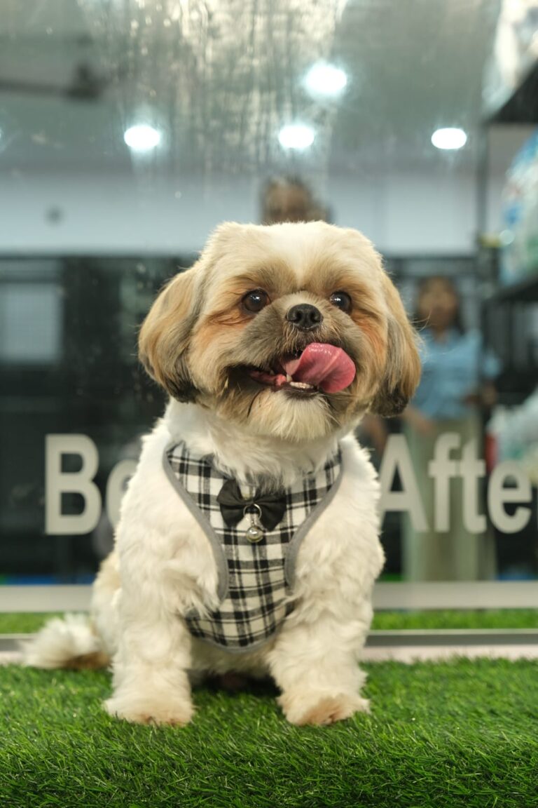 WhatsApp Image 2026-03-11 at 5.17