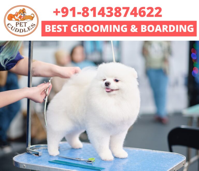 WhatsApp Image 2026-03-14 at 6.54