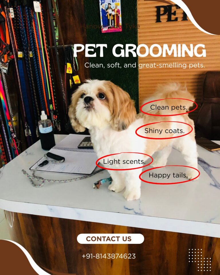 WhatsApp Image 2026-03-14 at 6.54