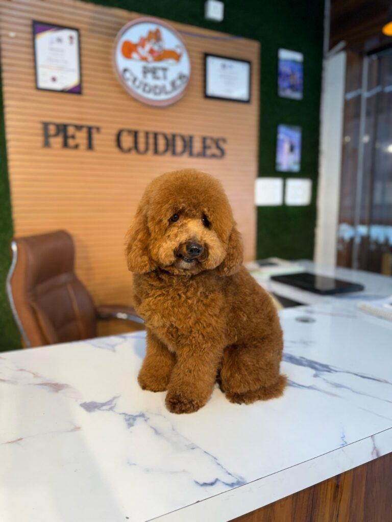 WhatsApp Image 2026-03-14 at 6.54