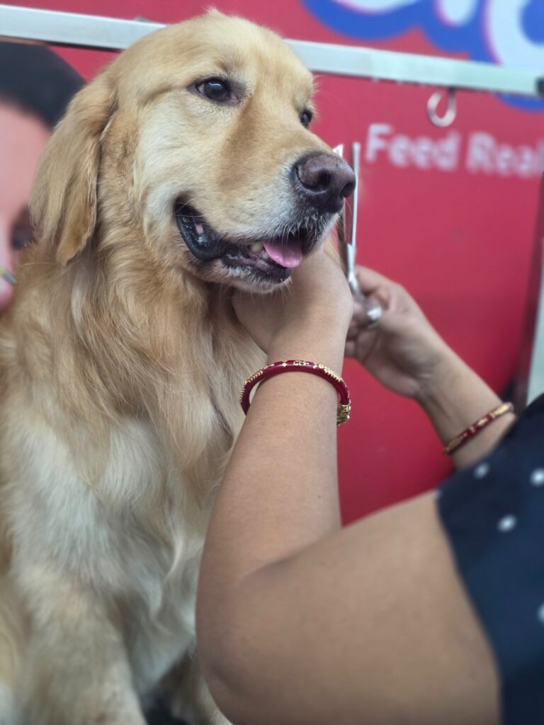 WhatsApp Image 2026-03-14 at 6.54