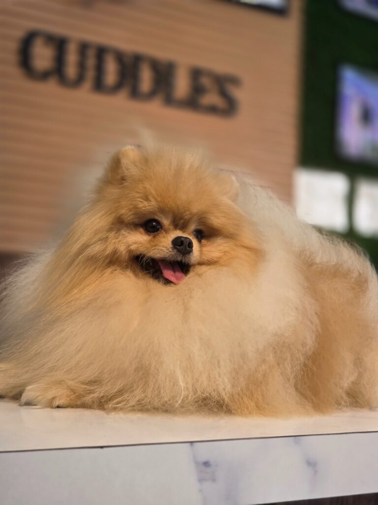 WhatsApp Image 2026-03-14 at 6.54