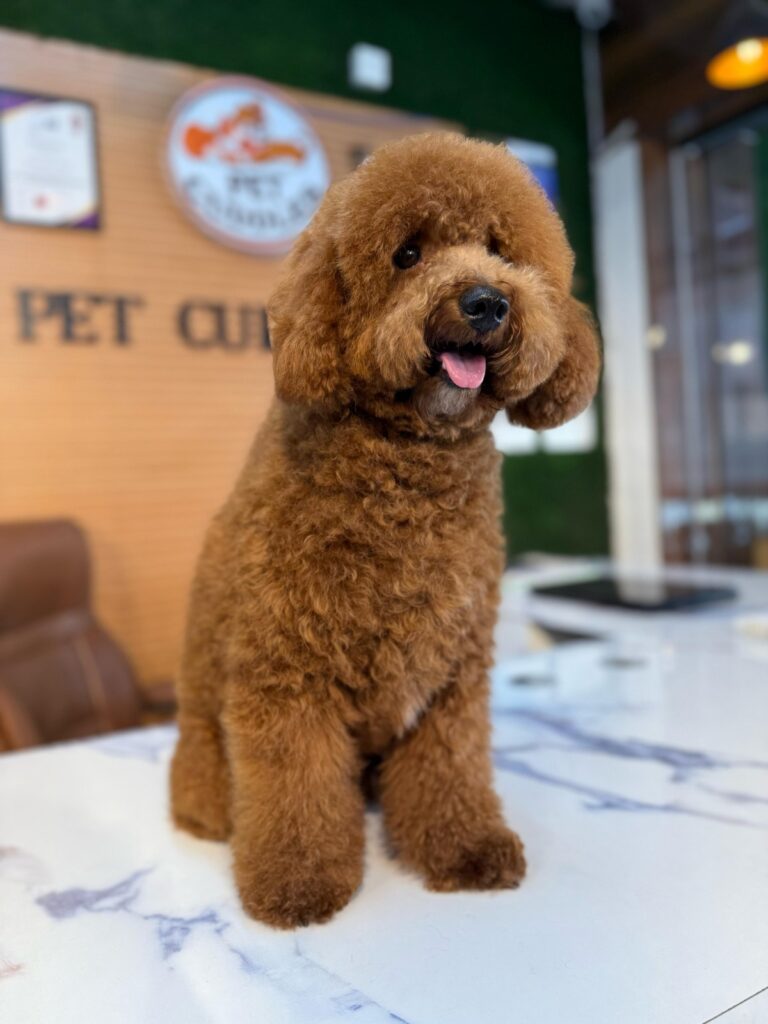 WhatsApp Image 2026-03-14 at 6.54