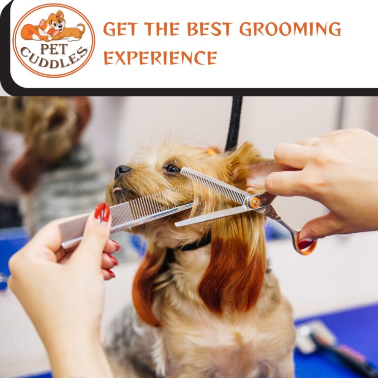 WhatsApp Image 2026-03-14 at 6.54