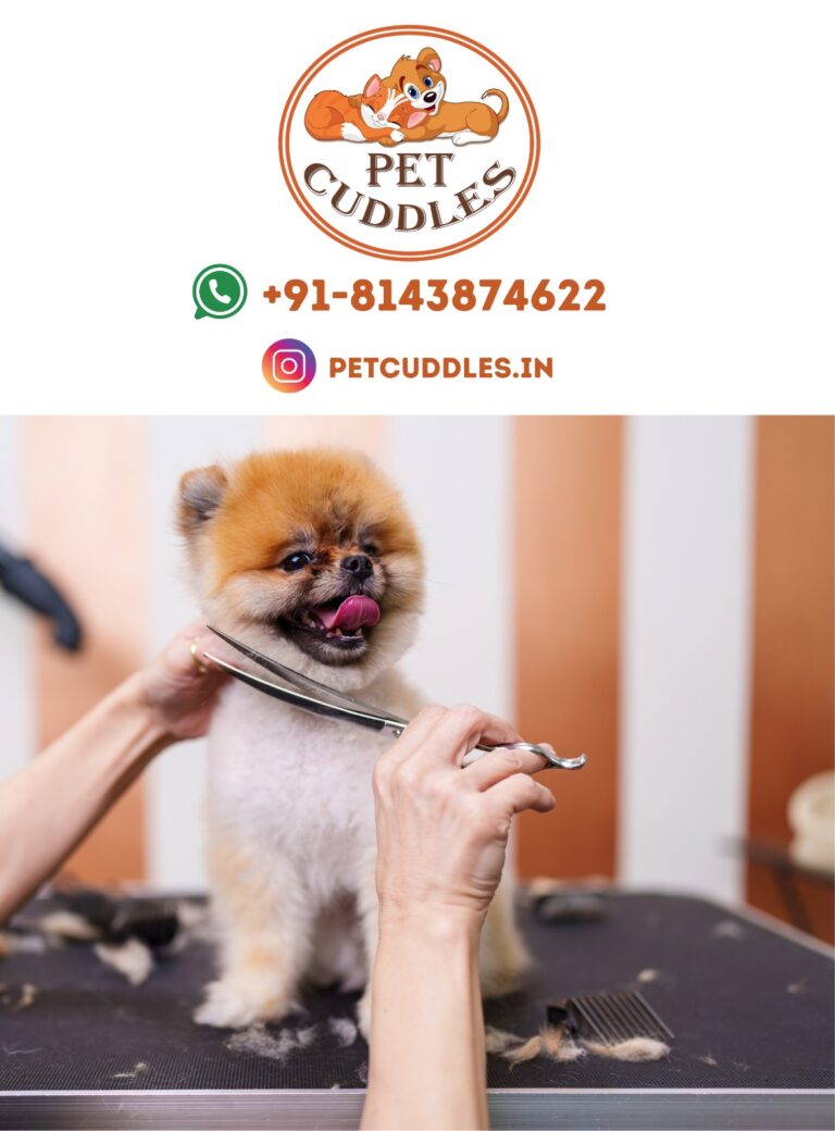 WhatsApp Image 2026-03-14 at 6.54