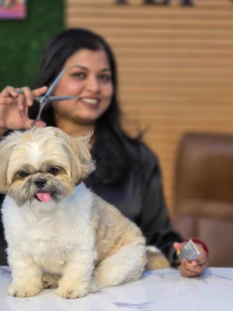 WhatsApp Image 2026-03-14 at 6.57