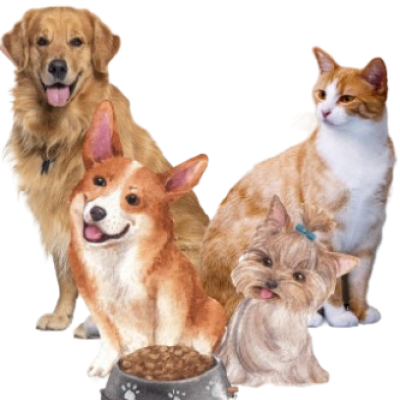 WhatsApp_Image_2026-03-14_at_6.54.29_PM__2_-removebg-preview